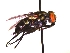  ( - QCAZI_235367)  @12 [ ] Unspecified (default): All Rights Reserved  Unspecified Unspecified
