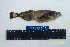  ( - Ber269)  @11 [ ] No Rights Reserved  Unspecified Unspecified
