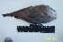  ( - Ber98)  @11 [ ] No Rights Reserved  Unspecified Unspecified