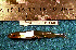  ( - INIBIOMA p66)  @12 [ ] Unspecified (default): All Rights Reserved  Unspecified Unspecified