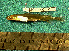  ( - INIBIOMA p68)  @12 [ ] Unspecified (default): All Rights Reserved  Unspecified Unspecified