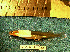  ( - INIBIOMA p67)  @12 [ ] Unspecified (default): All Rights Reserved  Unspecified Unspecified