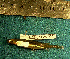  ( - INIBIOMA p69)  @12 [ ] Unspecified (default): All Rights Reserved  Unspecified Unspecified
