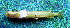  ( - INIBIOMA p02)  @12 [ ] Unspecified (default): All Rights Reserved  Unspecified Unspecified