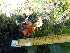  ( - FFVCC114)  @11 [ ] nrr  Unspecified Unspecified