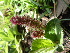  ( - FFVCC121)  @11 [ ] nrr  Unspecified Unspecified