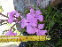  ( - FFVCC128)  @11 [ ] nrr  Unspecified Unspecified