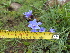  ( - FFVCC130)  @11 [ ] nrr  Unspecified Unspecified