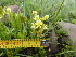  ( - FFVCC144)  @11 [ ] nrr  Unspecified Unspecified