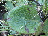  ( - FFVCC151)  @11 [ ] nrr  Unspecified Unspecified