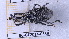  ( - BC-GF2024-0339)  @11 [ ] Creative Commons (2024) rodolphe rougerie Museum national d'histoire naturelle