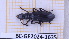  ( - BC-GF2024-1635)  @11 [ ] Creative Commons (2024) rodolphe rougerie Museum national d'histoire naturelle