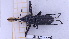  ( - BC-GF2024-2202)  @11 [ ] Creative Commons (2024) rodolphe rougerie Museum national d'histoire naturelle