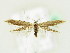  ( - BC ZSM Lep 61811)  @14 [ ] CreativeCommons - Attribution Non-Commercial Share-Alike (2015) Unspecified SNSB, Zoologische Staatssammlung Muenchen