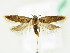  ( - BC ZSM Lep 61827)  @13 [ ] CreativeCommons - Attribution Non-Commercial Share-Alike (2015) Unspecified SNSB, Zoologische Staatssammlung Muenchen
