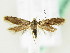  ( - BC ZSM Lep 61930)  @14 [ ] CreativeCommons - Attribution Non-Commercial Share-Alike (2015) Unspecified SNSB, Zoologische Staatssammlung Muenchen