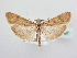  ( - BC ZSM Lep 63997)  @13 [ ] Unspecified (default): All Rights Reserved  Unspecified Unspecified