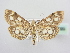  ( - BC ZSM Lep 63999)  @14 [ ] Unspecified (default): All Rights Reserved  Unspecified Unspecified