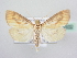  ( - BC ZSM Lep 64002)  @14 [ ] Unspecified (default): All Rights Reserved  Unspecified Unspecified