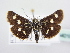  ( - BC ZSM Lep 64018)  @14 [ ] Unspecified (default): All Rights Reserved  Unspecified Unspecified