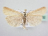  ( - BC ZSM Lep 64032)  @14 [ ] Unspecified (default): All Rights Reserved  Unspecified Unspecified