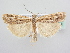  ( - BC ZSM Lep 64033)  @14 [ ] Unspecified (default): All Rights Reserved  Unspecified Unspecified