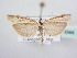  ( - BC ZSM Lep 64044)  @13 [ ] Unspecified (default): All Rights Reserved  Unspecified Unspecified
