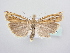  ( - BC ZSM Lep 64054)  @13 [ ] Unspecified (default): All Rights Reserved  Unspecified Unspecified