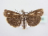  ( - BC ZSM Lep 64055)  @13 [ ] Unspecified (default): All Rights Reserved  Unspecified Unspecified