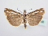  ( - BC ZSM Lep 64056)  @13 [ ] Unspecified (default): All Rights Reserved  Unspecified Unspecified
