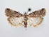  ( - BC ZSM Lep 64100)  @14 [ ] Unspecified (default): All Rights Reserved  Unspecified Unspecified