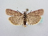  ( - BC ZSM Lep 64105)  @13 [ ] Unspecified (default): All Rights Reserved  Unspecified Unspecified