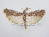  ( - BC ZSM Lep 64111)  @13 [ ] Unspecified (default): All Rights Reserved  Unspecified Unspecified