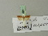  ( - BC ZSM Lep 70232)  @12 [ ] Unspecified (default): All Rights Reserved  Unspecified Unspecified
