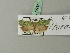  ( - BC ZSM Lep 70237)  @12 [ ] Unspecified (default): All Rights Reserved  Unspecified Unspecified