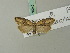  ( - BC ZSM Lep 70240)  @13 [ ] Unspecified (default): All Rights Reserved  Unspecified Unspecified