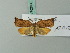  ( - BC ZSM Lep 70260)  @14 [ ] Unspecified (default): All Rights Reserved  Unspecified Unspecified