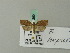  ( - BC ZSM Lep 70269)  @13 [ ] Unspecified (default): All Rights Reserved  Unspecified Unspecified