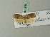  ( - BC ZSM Lep 70270)  @13 [ ] Unspecified (default): All Rights Reserved  Unspecified Unspecified