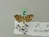  ( - BC ZSM Lep 70273)  @12 [ ] Unspecified (default): All Rights Reserved  Unspecified Unspecified