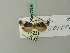  ( - BC ZSM Lep 70290)  @12 [ ] Unspecified (default): All Rights Reserved  Unspecified Unspecified