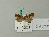  ( - BC ZSM Lep 70296)  @13 [ ] Unspecified (default): All Rights Reserved  Unspecified Unspecified