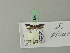  ( - BC ZSM Lep 70325)  @12 [ ] Unspecified (default): All Rights Reserved  Unspecified Unspecified
