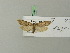 ( - BC ZSM Lep 70329)  @13 [ ] Unspecified (default): All Rights Reserved  Unspecified Unspecified