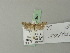  ( - BC ZSM Lep 70363)  @12 [ ] Unspecified (default): All Rights Reserved  Unspecified Unspecified