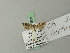  ( - BC ZSM Lep 70369)  @12 [ ] Unspecified (default): All Rights Reserved  Unspecified Unspecified