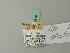  ( - BC ZSM Lep 70370)  @13 [ ] Unspecified (default): All Rights Reserved  Unspecified Unspecified