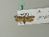  ( - BC ZSM Lep 70373)  @13 [ ] Unspecified (default): All Rights Reserved  Unspecified Unspecified