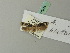  ( - BC ZSM Lep 70374)  @13 [ ] Unspecified (default): All Rights Reserved  Unspecified Unspecified
