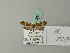  ( - BC ZSM Lep 70382)  @12 [ ] Unspecified (default): All Rights Reserved  Unspecified Unspecified